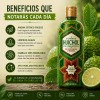 Shampoo Huichol Bergamota 400 ml Crecimiento y Anti Frizz