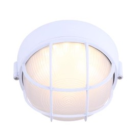 Canarm Integrated LED Outdoor Flush Mount Light, Marine-Style Durable Exterior Fixture with Frosted Glass Shade for Wall or Ceiling