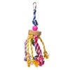 Prevue Pet Products Physical & Mental Court Jester Bird Toy