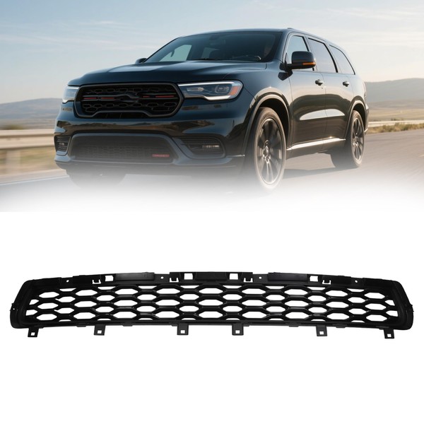 Dasbecan Front Lower Grille Compatible with 2021 2022 2023 2024