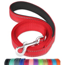 FunTags 6FT Reflective Dog Leash with Soft Padded Handle for Training,Walking Lead for Large & Medium Dog,1 Inch Wide,Red