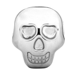 Club icecubes in Stainless Steel, 2-Pack