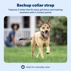 PetSafe Replacement Collar Strap with 2 Holes - Adjustable Design