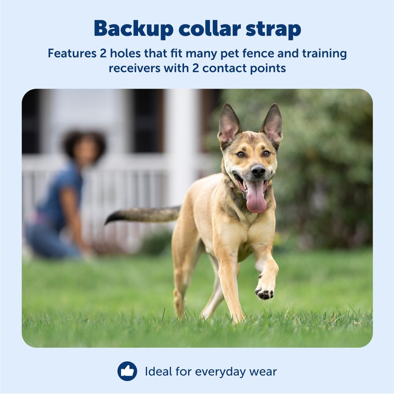 PetSafe Replacement Collar Strap with 2 Holes - Adjustable Design