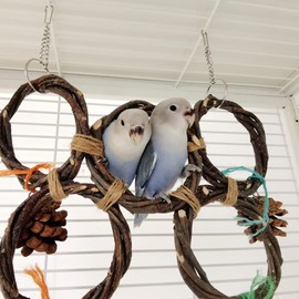 Elvaesther Birds Parrots Hand-Woven Hanging Ring Perch Stand Bird Swing Climbing Toy with Bells Pine Cones Cage Supplies 5 Rings (Single Row)
