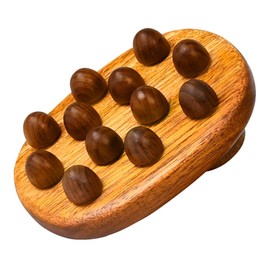 Ipetboom Handheld Massage Brush for Body Acupoint Therapy Massage Tool for Cellulite Removal and Muscle Relaxation for Athletes and Dancers