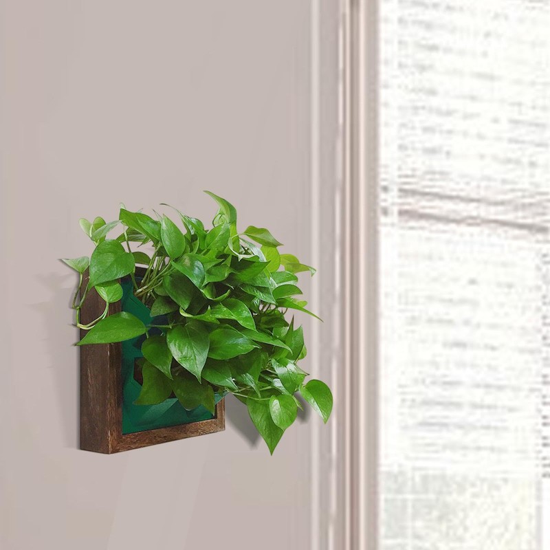 Generic Vertical Wall Planter Wooden Frame Pot Modern with Drainage