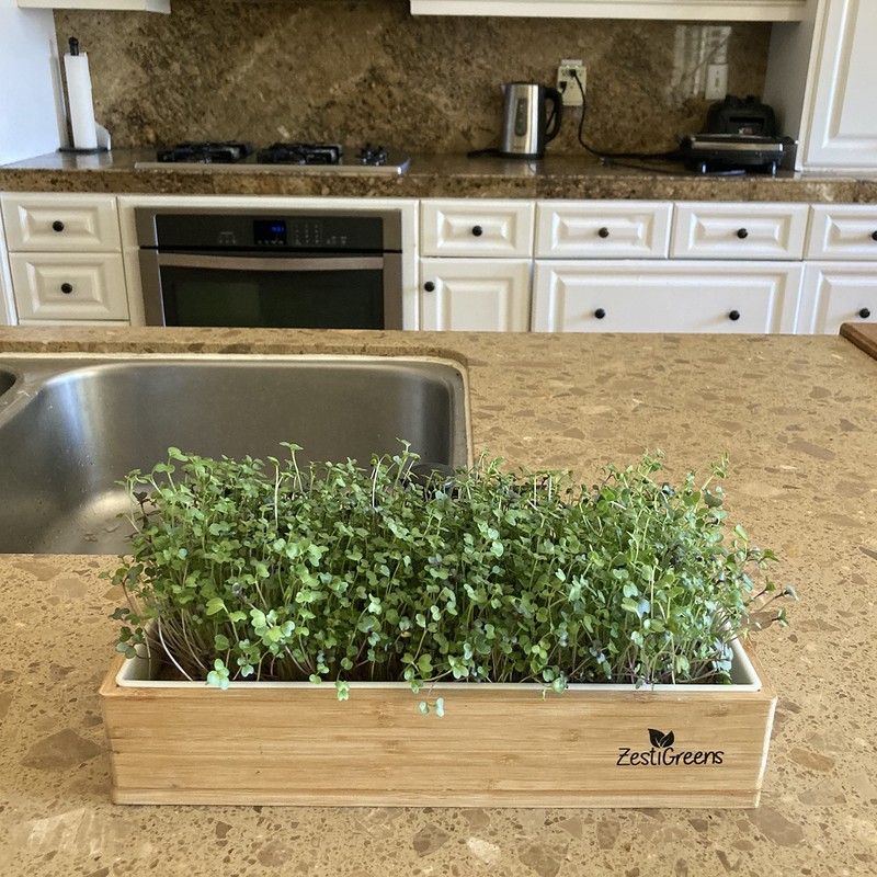 Microgreens Kit Refills with 9 Plant Mats & 9 Types