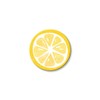 Roeda Brighten Your Life 30022y Lemon Open Stock Magnet