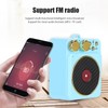 DC 3.7V Retro Bluetooth 5.0 Speaker with Smart Audio Voice