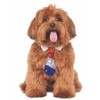 Rubie's Patriotic Pet, Tie, Medium-Large