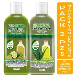 Shampoo Aceite De Bergamota 1l + Shampoo Extracto Sabila 1l