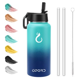 Opard 32oz Insulated Stainless Steel Water Bottle with Handle, Straw Lid with 2 Straws, BPA-Free Leak Proof Metal Water Bottle, Reusable Sports Bottle for Gym Travel, Double Wall Vacuum Insulated