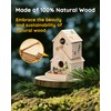 SainSmart Jr. Bird House Kit for Kids to Build and