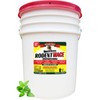 Rodent MACE Rodent Repellent - Spray or Concentrate - Size: