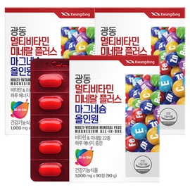 Guangdong Multivitamin Mineral Plus Magnesium All-in-One 90 tablets / 광동 멀티비타민미네랄 플러스 마그네슘 올인원 90정 X 3개