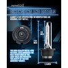 NINEO D2S Fog HID Bulbs, 6000K Cool White, 35W High