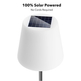 Outdoor Floor Lamp, 100% Solar Powered Floor Lamp for Patio Decks Lawn Pool Garden Outdoor Spaces, Fully Weatherproof