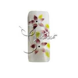 Brown Floral Pre-designed Acrylic/UV Gel Artificial/False French Nail Tips (70 pcs.)