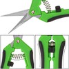 Biugaaufai 20 Pack 6.5 Inch Garden Pruning Scissors, Hand Pruner