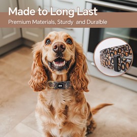 QQPETS Reflective Dog Collar for Larges Dogs, Cool Painting Style Heavy Duty Nylon Collar for Boy and Girl Pet, Soft Necklace with Quick Release Buckle, Golden