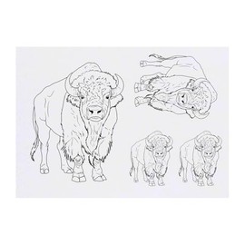 Azeeda 4 x 'Wild Bison' Temporäre Tattoos - Wasserfest, Hautfreundlich & Ungiftig · Transfers in Verschiedenen Größen (TO00085104)