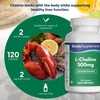 Super Strength L-Choline Supplement | 120 Fast-Release Vegan Capsules (2-Month