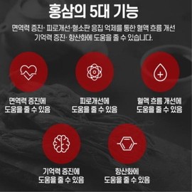 고려홍삼정365 진세노사이드 국산진액 혈액흐름 피로개선 기억력 면역 항산화 240g 4병 Korean Red Ginseng Extract 365 Ginsenosides Domestic Extract Blood Flow Fatigue Improvement Memory Immune Antioxidant 240g 4 Bottles