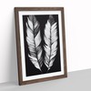 Monochrome Feathers No.1 Framed Print for Living Room Bedroom Home