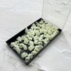 1 Box False Teeth Crown Repair Kit Dental Anterior Veneers
