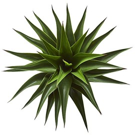 Nearly Natural Nearly Natural 28 Agave Artificial Plant, Green