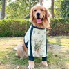 Pet Long Sleeve Pajamas Breathable Soft Elastic Cute Avocado Print