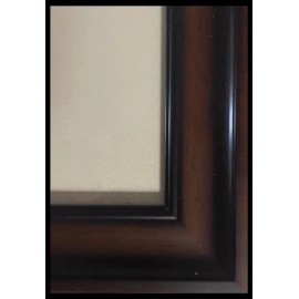 Wooden Duck stamp and Print Brown Wood Frame