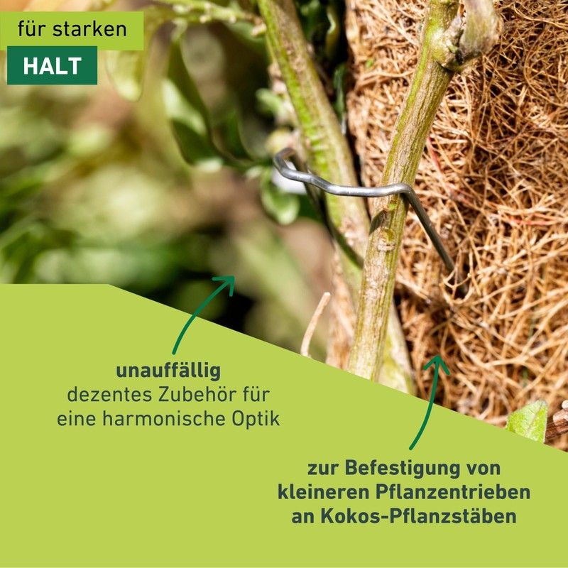 Windhager Pflanzenstecker für die Befestigung von Pflanzentrieben an Kokos-Pflanzstäben, 50