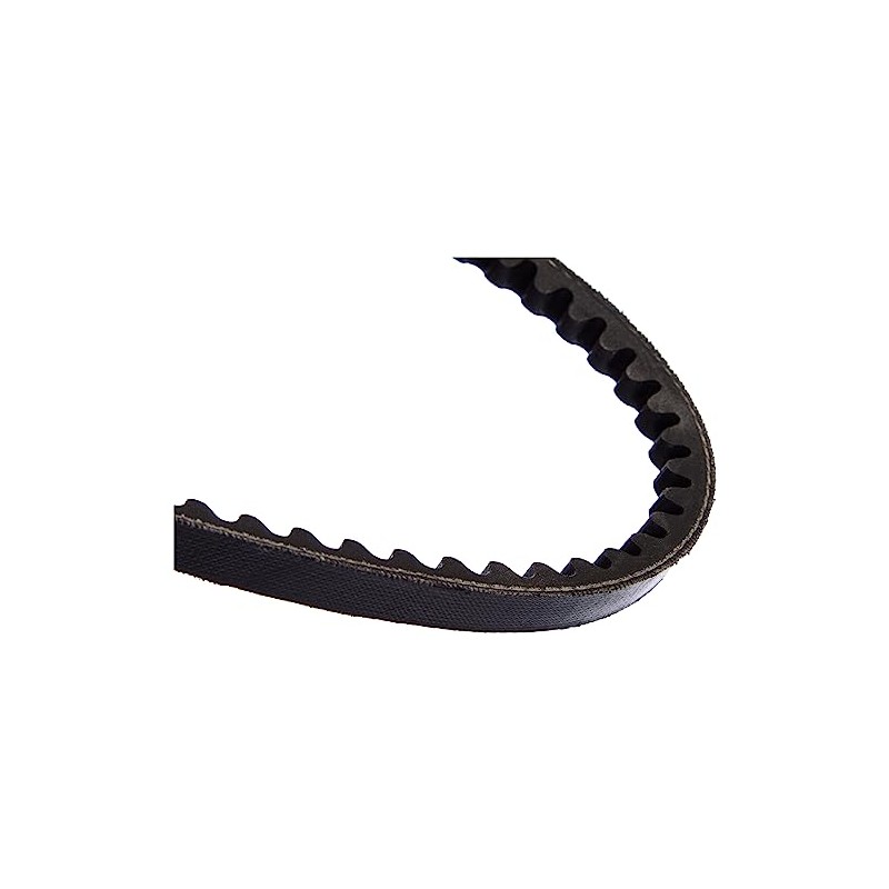 SKF VKMV 10AVX600 V belt