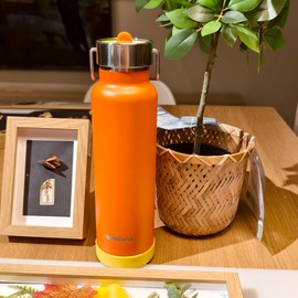 24 oz Insulated Slim Water Bottle with Flip Straw and Handle, Stainless Steel Water Bottles, Fits Car CupHolder, 100% Leak Proof, Keeps Drink Cold Up to 24 Hours, Sports/Gift (Summer Orange)