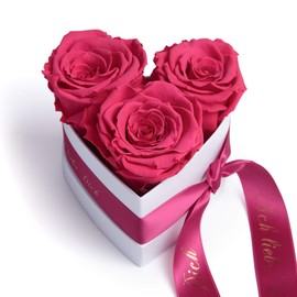 Rosemarie Schulz Heidelberg Infinity Rose Box in Heart Shape with Preserved Roses in Red Valentine's Day Gift