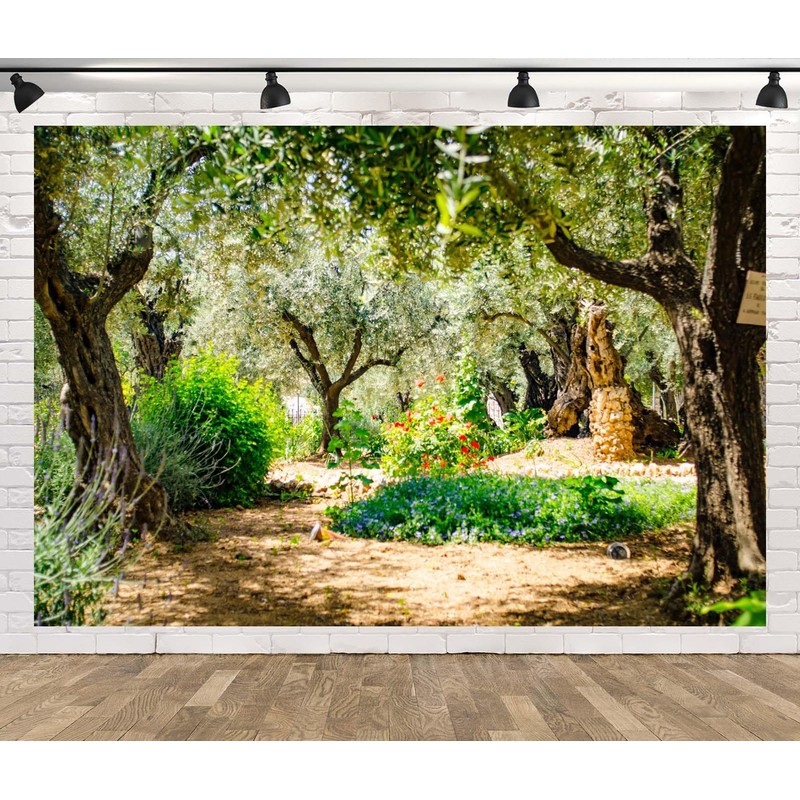 Loccor 9x6ft Fabric Jerusalem Olive Garden Backdrop Ancient Gethsemane Garden