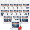 STEAM AND GO Tropical Bloom Scented Demineralized Water for Steam