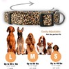 Collares de perro con estampado animal nativo (pequeño, leopardo)