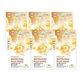 Perfect Life Premium Biotin Max Plus 10000 Brewer's Yeast, 6 packs, 60 tablets / 퍼펙트라이프 프리미엄 비오틴 맥스 플러스 10000 맥주효모, 6개, 60정