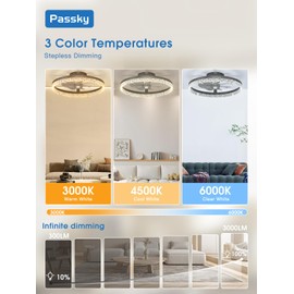 Passky 20” Low Profile Ceiling Fan with Lights and Remote, Dimmable LED Flush Mount Fandelier, 6 Speeds, 3000K–6000K, Black Modern Ceiling Fan for Bedroom, Kitchen, Living Room