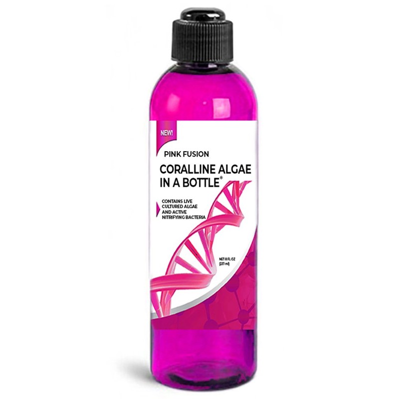 Coralline Algae in a Bottle + Nitrifying Bacteria for Saltwater