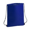 sin4sey 2 x Cool Bag Sports Bag Cooler Backpack Gym