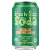 Fresh Fizz Sodas Organic Soda - All Natural Soda Sweetened
