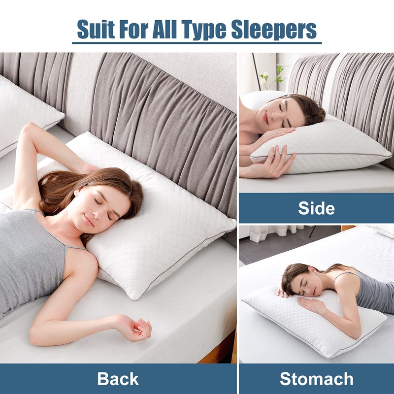 GOHOME Queen Size Pillow Set of 2 - Fluffy Down