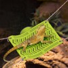 Bearded Dragon Hammock,Reptile Climbing Arboreal Cradle with Suction Cups for