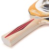 DONIC Top Team 300 Table Tennis Bat