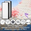 4 Pack Replacement Filters Compatible with HoMedics PetPlus AT-PETODR and