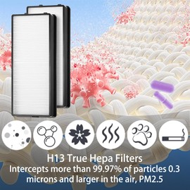 AT-PET01 AT-PET02 Replacement Filter for HoMedics PetPlus AT-PETODR and TotalClean AT-OFL, AT-PET01, AT-PET02 and AR-45, 2 Pack H13 True Hepa and 2 Pack Activated Carbon Filter